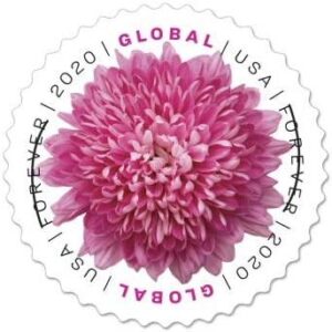 How Many Stamps Do I Need for International Shipping? 2023 Updates