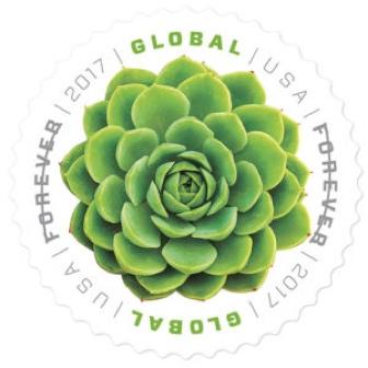 USA Global Forever Stamp, round green succulent design