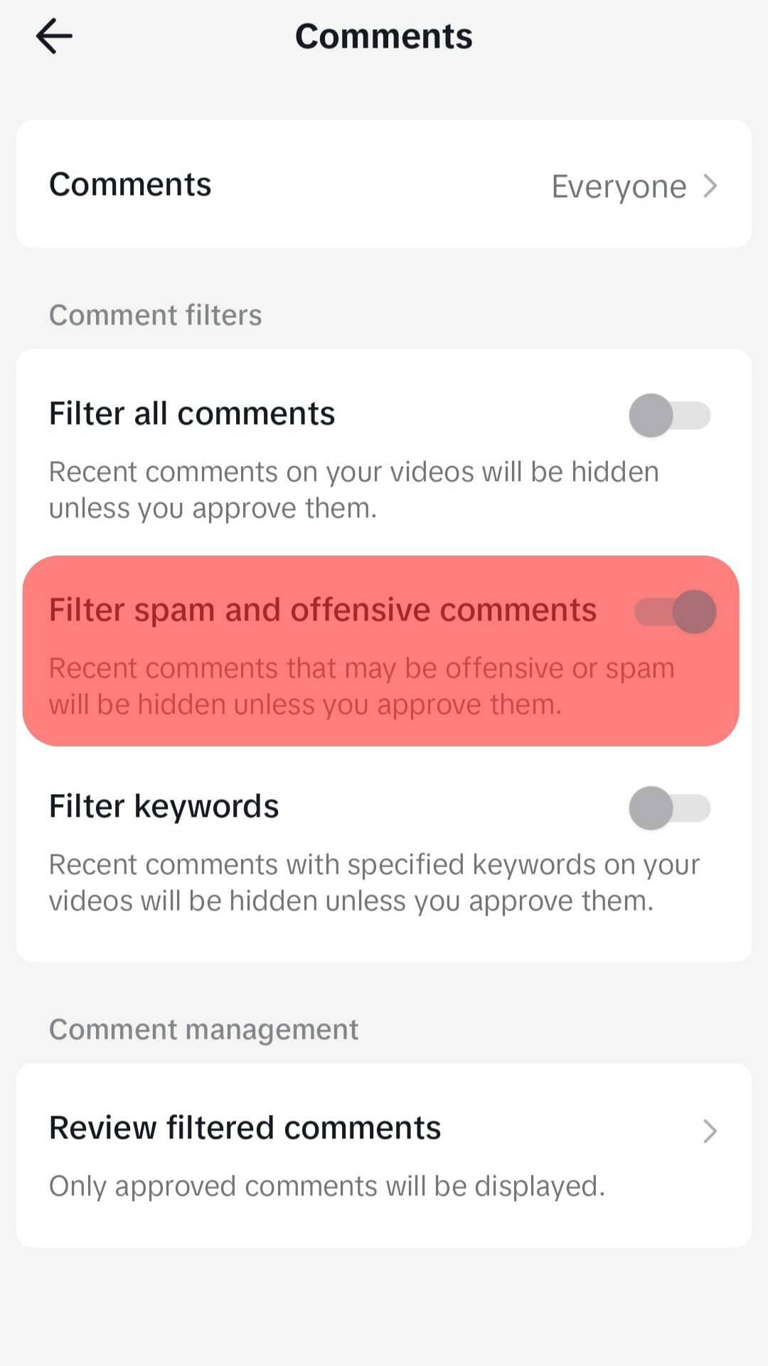 Filter Spam And Offensive Comments Option