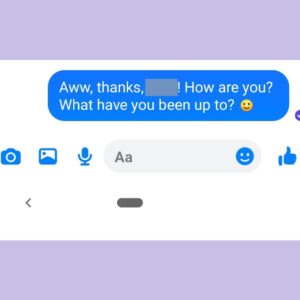 What does a check mark mean on Facebook Messenger?