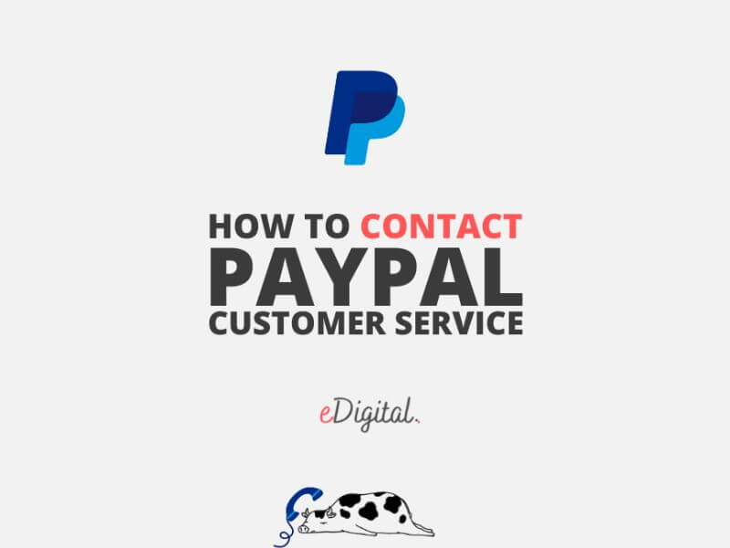 PayPal's phone number