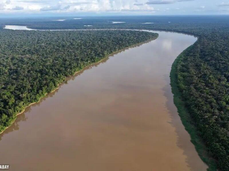 The Amazon Basin