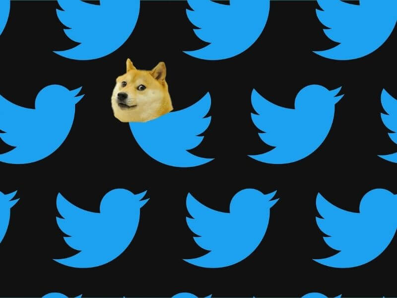 the dog icon on Twitter