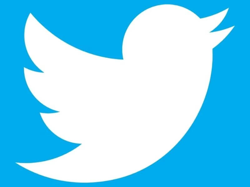 The Twitter birds name